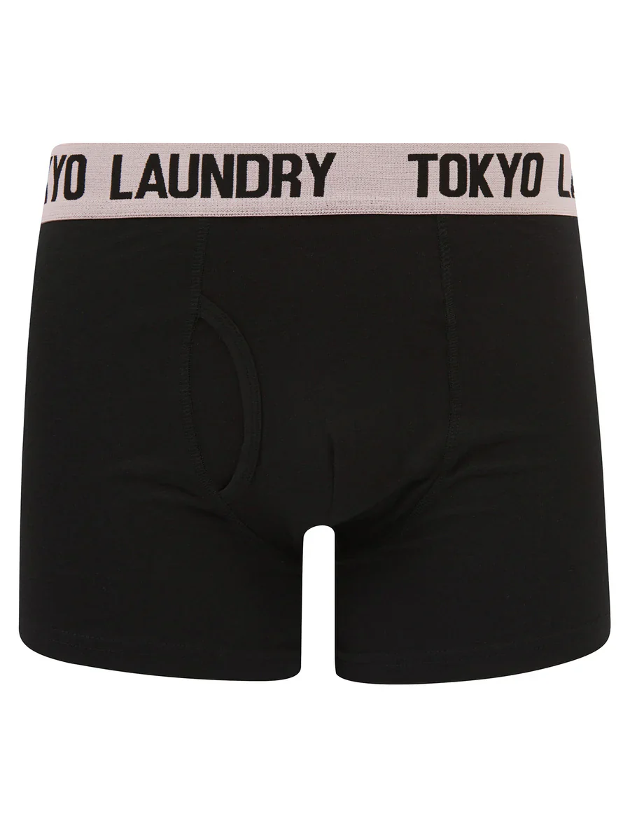 Tokyo Laundry Martem 2 Boxers (2 Pack) - Pink Nectar/Blissful Blue - Image 3